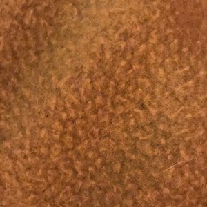 Meet your Posher, Zoe